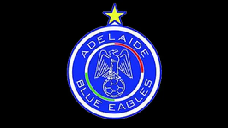 Đấu thủ Blue Eagles và Modbury Jets đang tranh chấp bóng trước khán giả hồi hộp