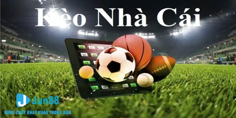 Kèo Nhà Cái - Bật Mí Các Dữ Liệu Hữu Ích Cho Thành Viên 5 Kèo nhà cái có ý nghĩa cơ bản như thế nào